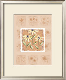 Buy Black-Eyed Susans at AllPosters.com
