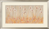 Buy Allium Panel II at AllPosters.com
