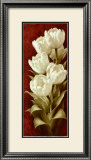Magnificent Tulips II
