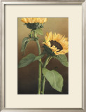 Buy Isabell's Garden II at AllPosters.com