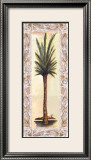 Palm IV