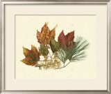 Buy Red Maple, Tamarack and White Pine at AllPosters.com