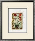 Buy Botanics of 17th Century II at AllPosters.com