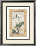 Buy Calla Lily at AllPosters.com