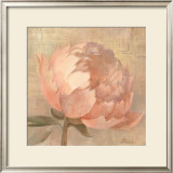 Sweet Peony