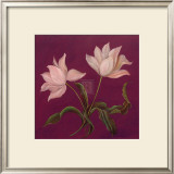 Buy Moon Shadows I at AllPosters.com