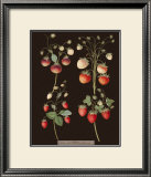 Buy Brookshaw Strawberries at AllPosters.com