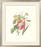 Narcissus with Red Rose