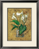 Flores Blancas II