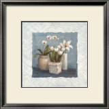 Blue and White Collection I