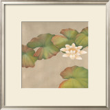 Buy Lotus Impressions I at AllPosters.com