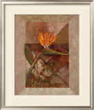 Buy Hawaiian Delight I at AllPosters.com