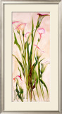 Buy Lilies at AllPosters.com