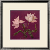 Buy Moon Shadows I at AllPosters.com