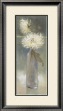 White Spider Mums II