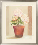Buy Hydrangeas in Red Pot at AllPosters.com