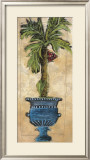 Potted Palm III Framed Art Print