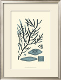 Buy Azure Seaweed III at AllPosters.com