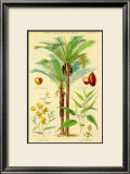 Buy Plants Used in Clothing at AllPosters.com