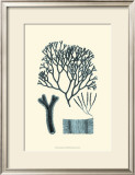 Buy Azure Seaweed IV at AllPosters.com