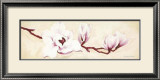 Buy Magnolias I at AllPosters.com
