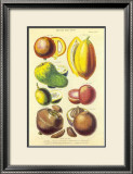 Buy History of the Vegetable Kingdom I at AllPosters.com