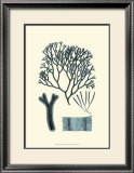 Buy Azure Seaweed IV at AllPosters.com