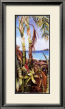 Buy Palms and Bromeliads at AllPosters.com