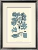 Buy Azure Seaweed I at AllPosters.com