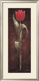 Buy Mystic Tulip Red at AllPosters.com