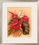Buy Red and White Anthuriums at AllPosters.com