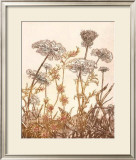 Buy Field of Lace I at AllPosters.com