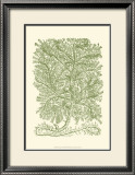 Buy Mossy Branches IV at AllPosters.com