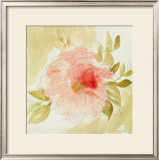 Stardust Peony
