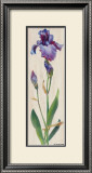 Buy Iris Panel I at AllPosters.com