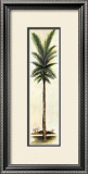 Palm III