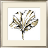 Tulip Sketch IV