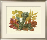 Buy White Oak, Balsam Fir and Yellow Birch at AllPosters.com