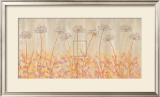 Buy Allium Panel I at AllPosters.com