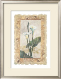 Buy Calla Lily at AllPosters.com