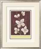 Buy Clematis I at AllPosters.com
