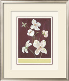 Buy Clematis II at AllPosters.com