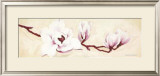 Buy Magnolias I at AllPosters.com