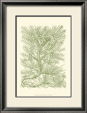 Buy Mossy Branches III at AllPosters.com