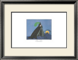 Buy Scaramouche at AllPosters.com