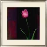 Buy Red Tulip II at AllPosters.com