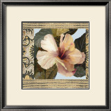 Buy Hibiscus II at AllPosters.com
