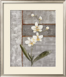 Buy Orchid Shimmer I at AllPosters.com
