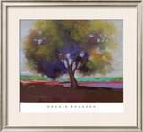 Buy Twilight Oak IV at AllPosters.com