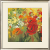 Oriental Poppy Field II
